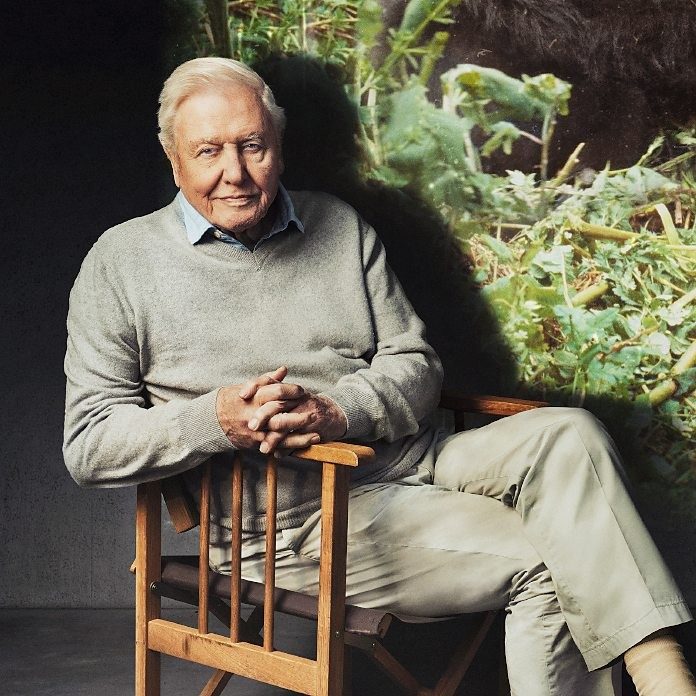 David Attenborough at 100